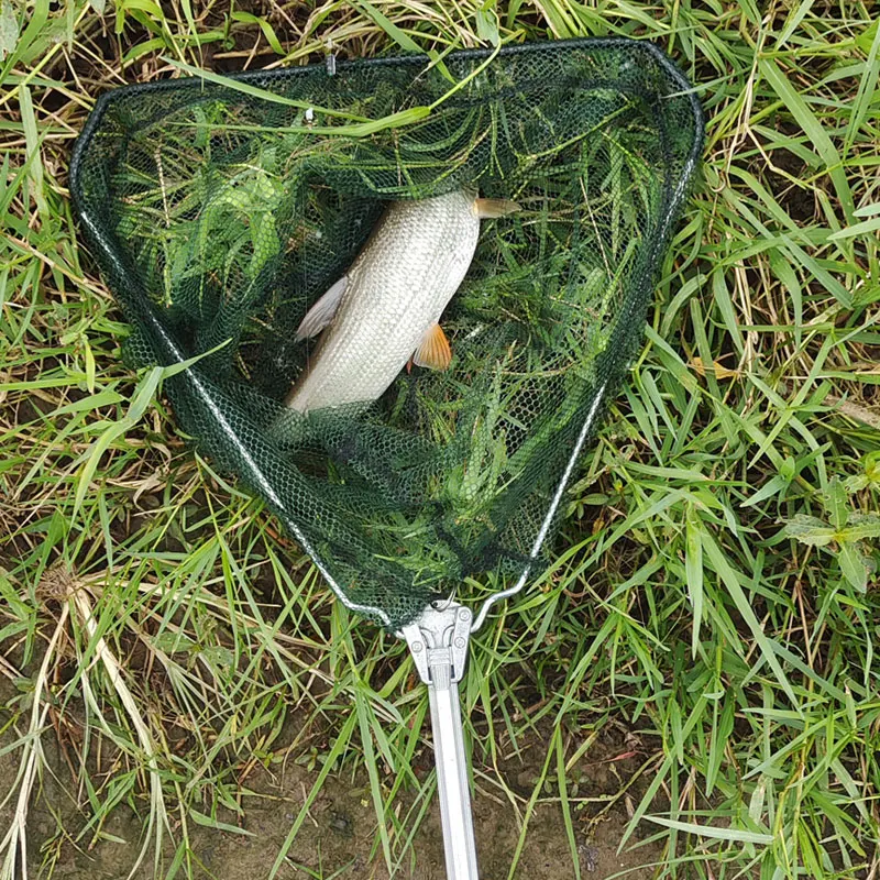 Red de pesca de aterrizaje retráctil, malla telescópica de aleación de aluminio de 190cm, plegable, para pesca con mosca de carpa