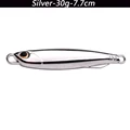 No hook-30g-Silver