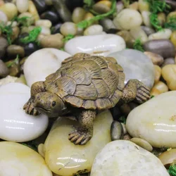 Señuelo tortuga vinilo flexible realista pesca natural deportiva