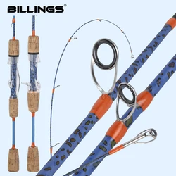 Caña spinning carbono 2 tramos Billings – Guías cerámicas