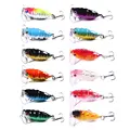 12pcs