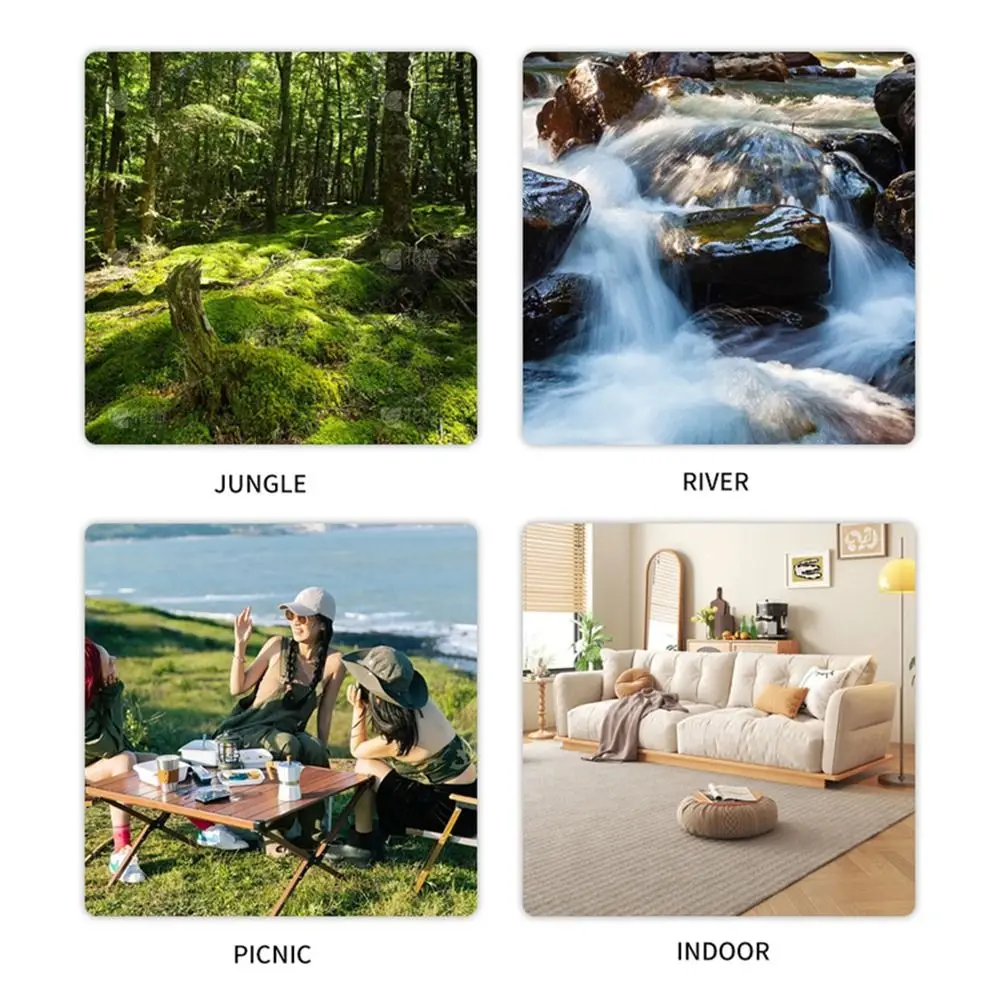 Experimente la belleza de la naturaleza Explore Jungle River, Picnic y Configuraciones interiores