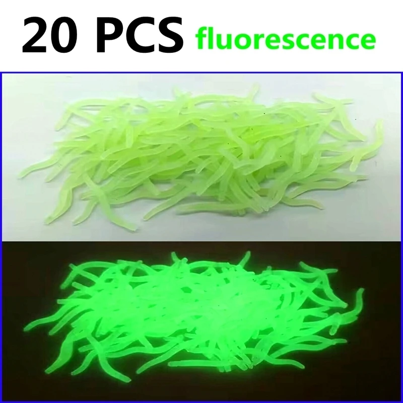 20 fluorescence