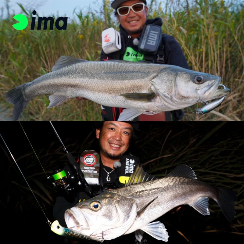 IMA-Cebo flotante de imitación, cebo de imitación genuino, importado de Japón, serie Ima, Minogue, 22g, 12g - imagen 3