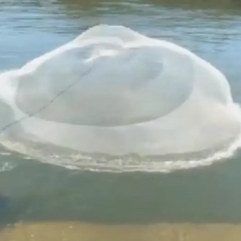 Red de nailon estilo coreano Para pesca, plomos de cadena, de bolsillo profundo, diámetro de 4m-6m - imagen 5