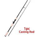 Casting Rod