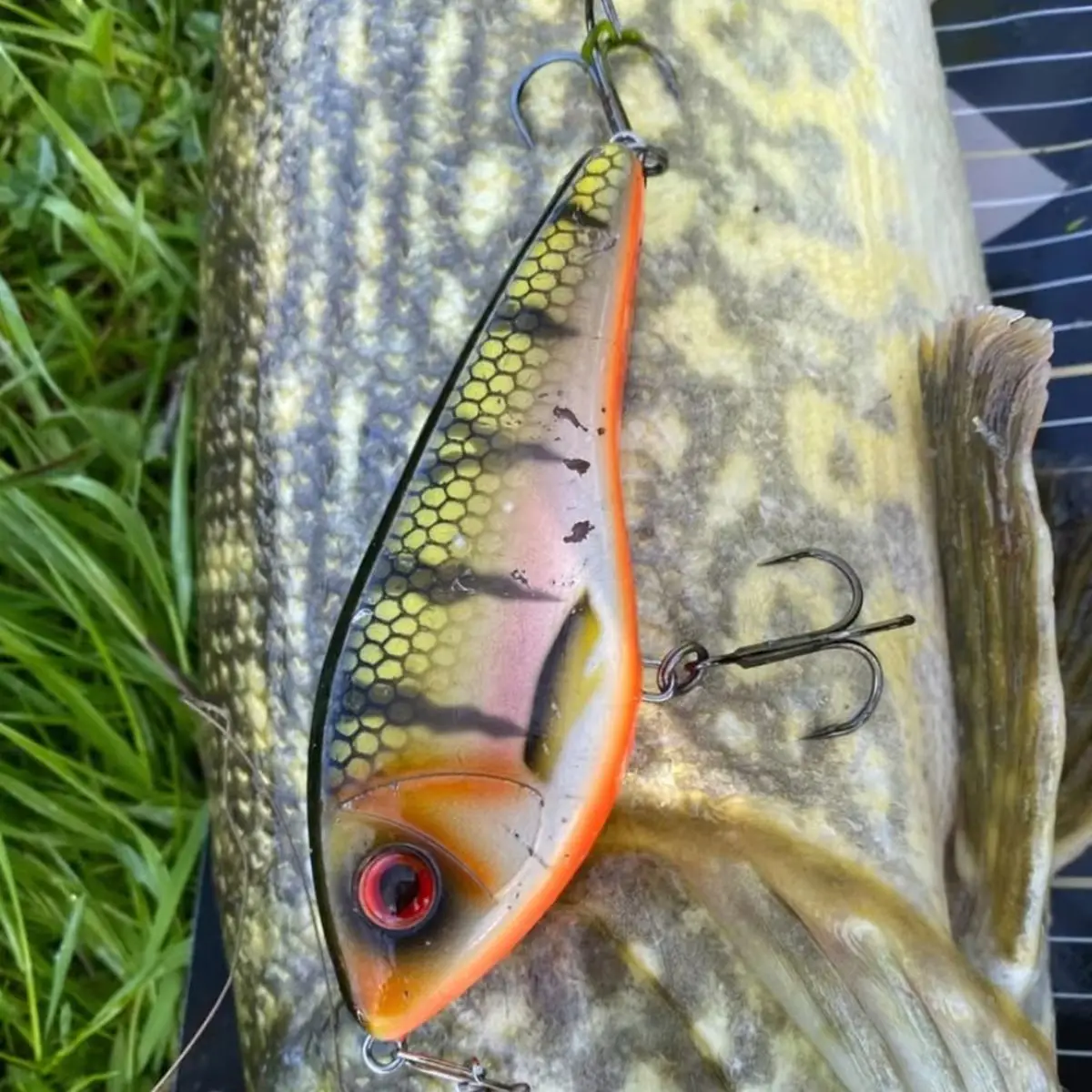 Jerkbaits de natación almizclados, señuelos deslizantes de hundimiento lento, 11,5 cm, 36g, Crankbaits de sonido fuerte, señuelo Jerkbait para pesca de Lucio, Walleye - imagen 3