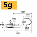 5g