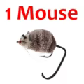 1 mouse
