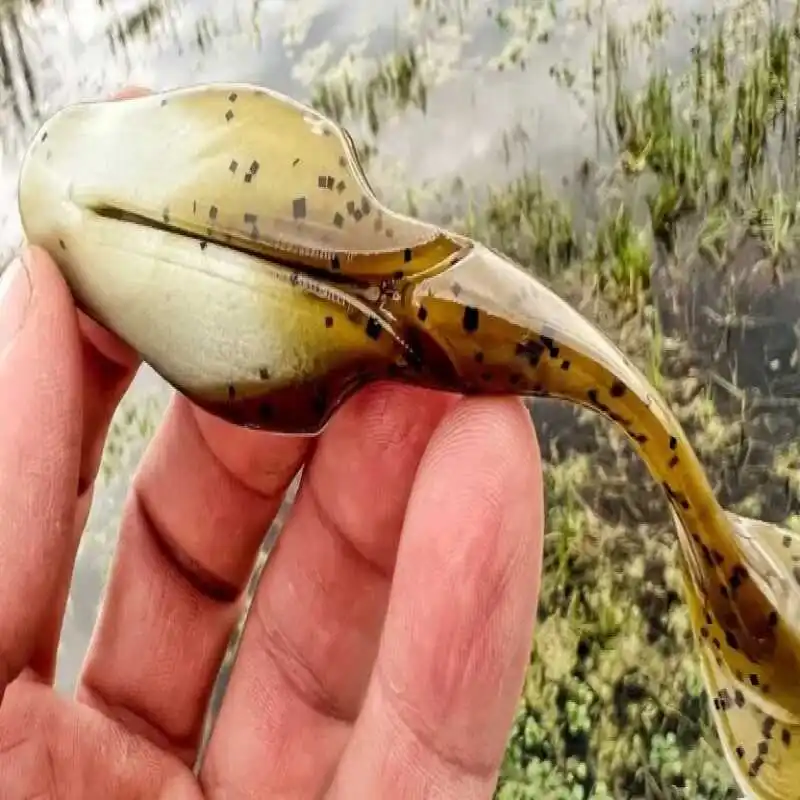 ZOOM US Imported Mag Uni Toad 4 pulgadas cola en T rana perca señuelo de rana cebo suave rana de obstáculo de Texas - imagen 3