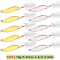 10PCS-10G With hook