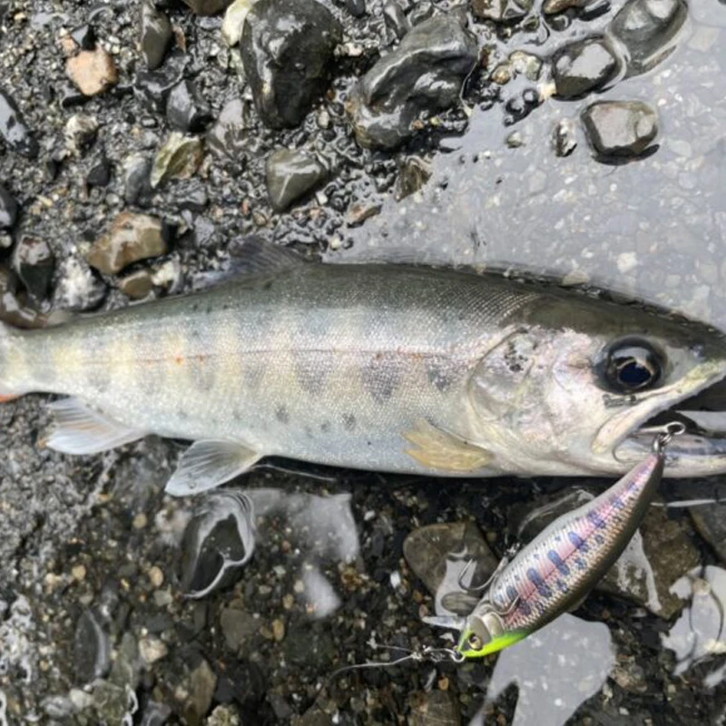 Señuelo de pececillo de 50mm y 3,5g, cebo duro Artificial para Pesca de trucha de agua dulce, Lucio, Japón, 1 unidad - imagen 5