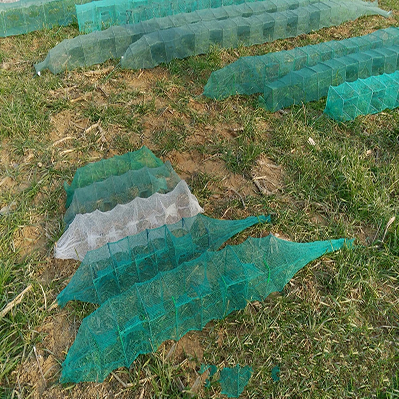 Red de cebo de camarón de río de 5 piezas, trampa de cangrejo plegable de alta calidad, jaula de pesca viva de nailon - imagen 3