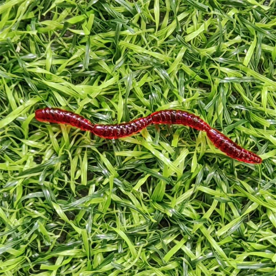 Lombrero de tierra simulado, señuelo de pesca de gusano rojo, mini cebo de silicona para camarones, olor a pescado, lubina de roca de mar, lubina doble suave Leurre - imagen 5