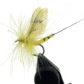 Light Yellow