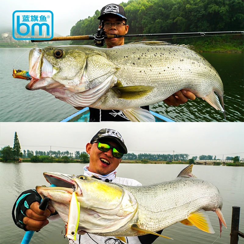 BM Bozhan 75/85/110F Boom Popper para señuelo de pesca flotante de agua superior 10g/16,5g/17g ojos 3D cebo duro de lubina de mar Wobbler Artificial - imagen 5