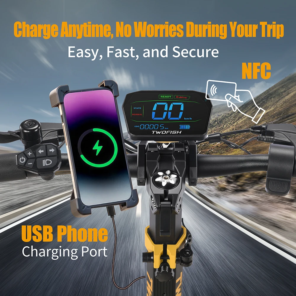 TWOFISH TW4 PRO Scooter eléctrico potente neumático vacío - imagen 3