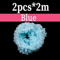 2PCS Blue