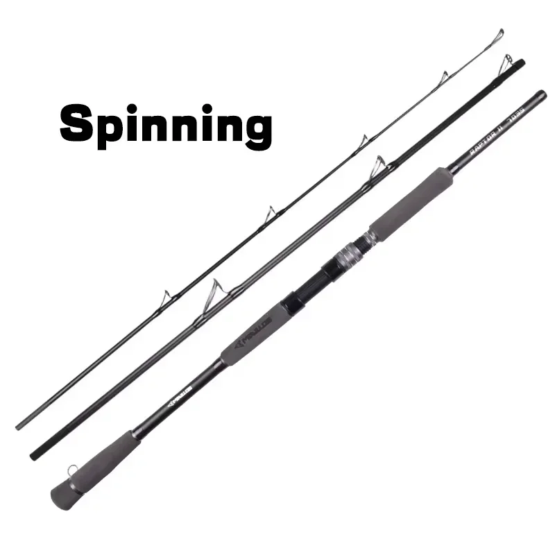 Spinning Rod