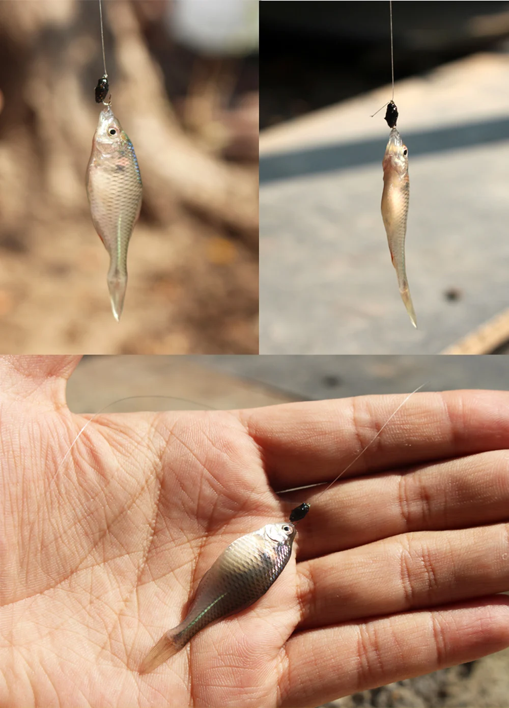 Señuelos de Pesca con mosca de insectos artificiales, cebo súper afilado, anzuelo de acero de alto carbono, aparejos de Pesca, señuelo seco volador, 20 unids/lote por caja - imagen 4