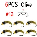 6pcs Olive Size 12