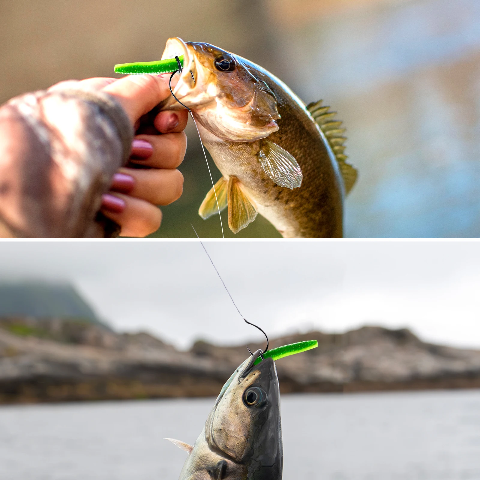 Goture Kit de señuelos para lubina y carpa — jigs, wobblers, vinilos - imagen 5