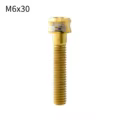 Gold-M6x30mm