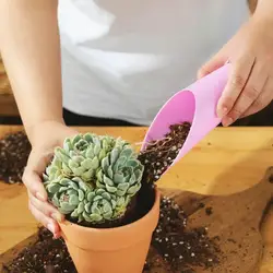 Herramienta pala plástica con cubo para semillas suculentas