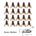 brown-12