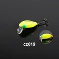 CZ019