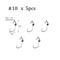 5pcs 10g