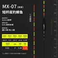 MX 07