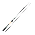 Casting Rod