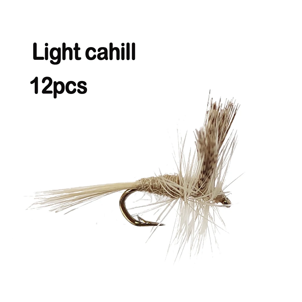 Light cahill
