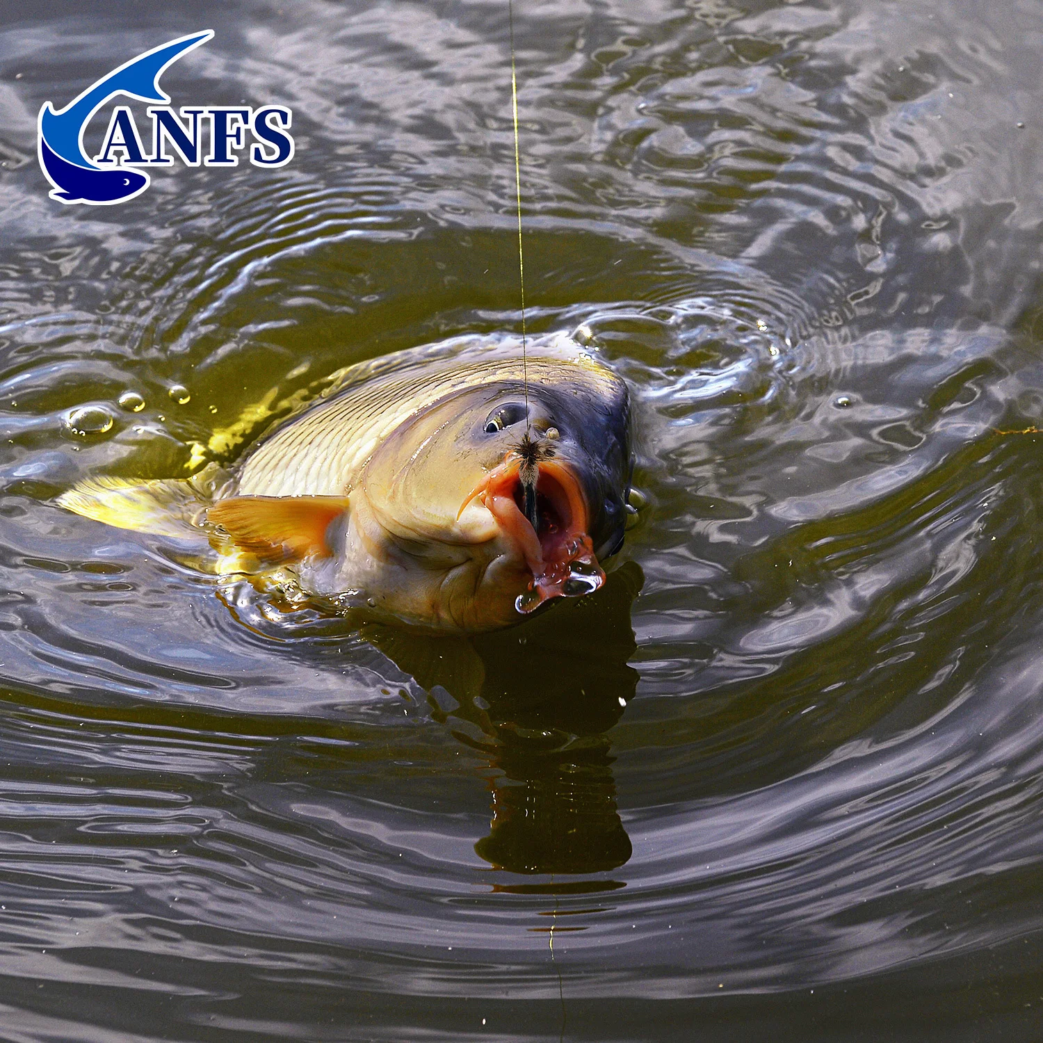 Moscas secas ANFS – Surtido para pesca de trucha - imagen 4