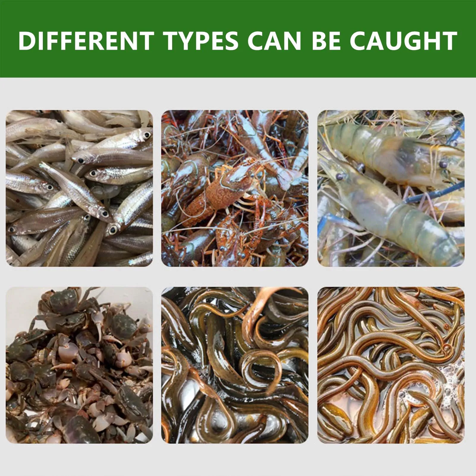 Jaulas para locha de anguila engrosadas con 3/6/8 orificios, montaje conveniente, jaula de cesta de captura de tamaño compacto para trampa de cangrejo y cangrejo - imagen 4