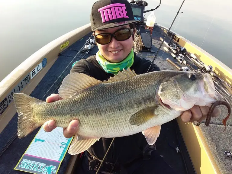 Original japonés OSP doble rizo cola fideos gusano O.S.P doble barba gusano DoliveCurly 4,5 pulgadas punto multicolor - imagen 3