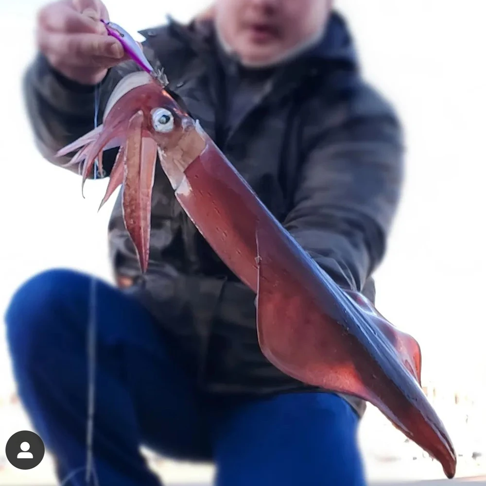 Plantilla de calamar de 9g y 10cm, señuelo de calamar para Pesca, anzuelo de madera para camarones, plantillas de sepia, cebo Artificial para Pesca en el mar, calamar, pulpo, Pesca