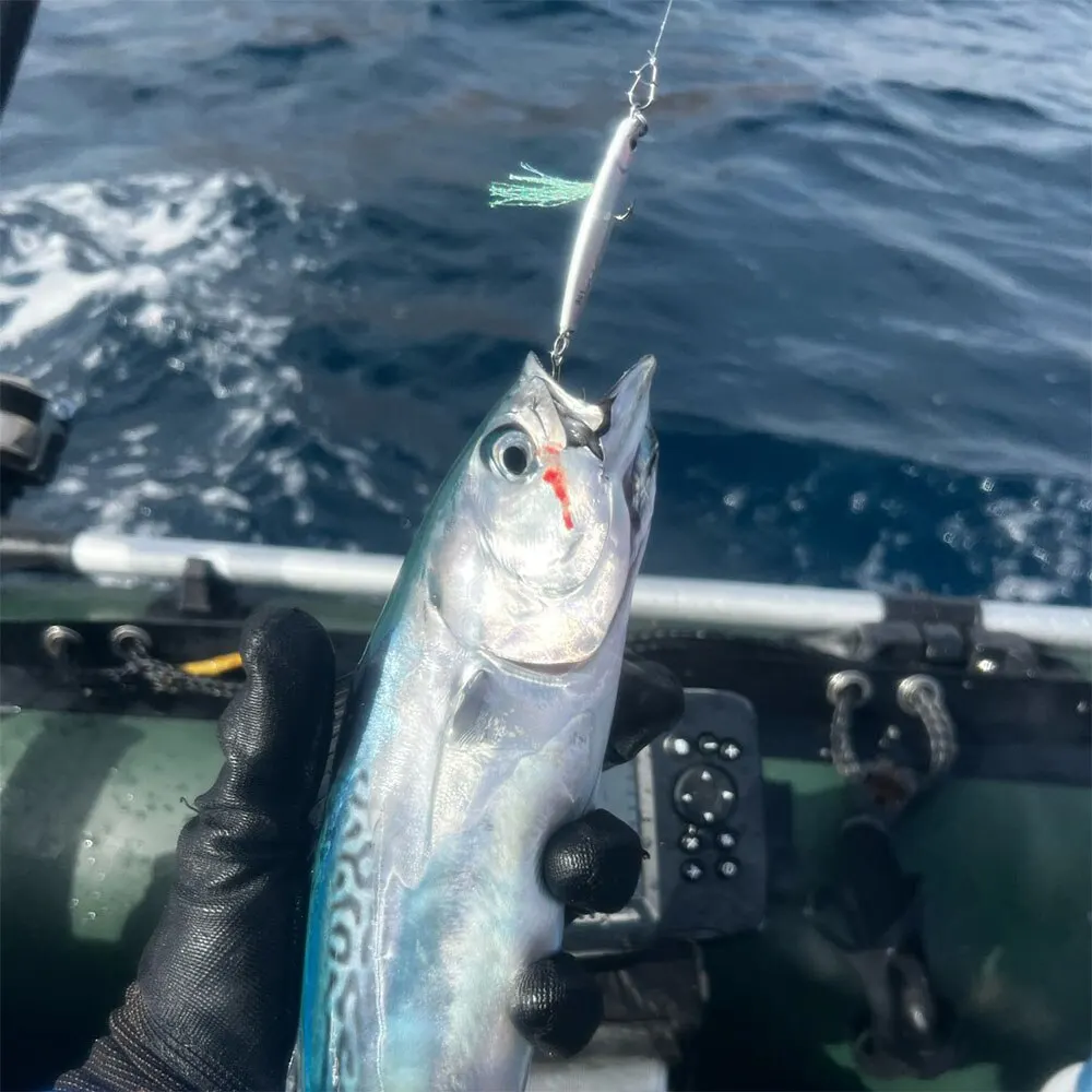 Señuelo de Pesca con plantilla de Metal, anzuelo fundido de 20g, cebo Artificial Swimbait, cubierta láser, accesorios para Lucio de mar, aparejos giratorios - imagen 3