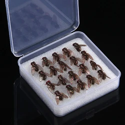 Mini cebo de mosca biónico con anzuelo suave para trucha y salmón