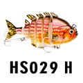HS029-H
