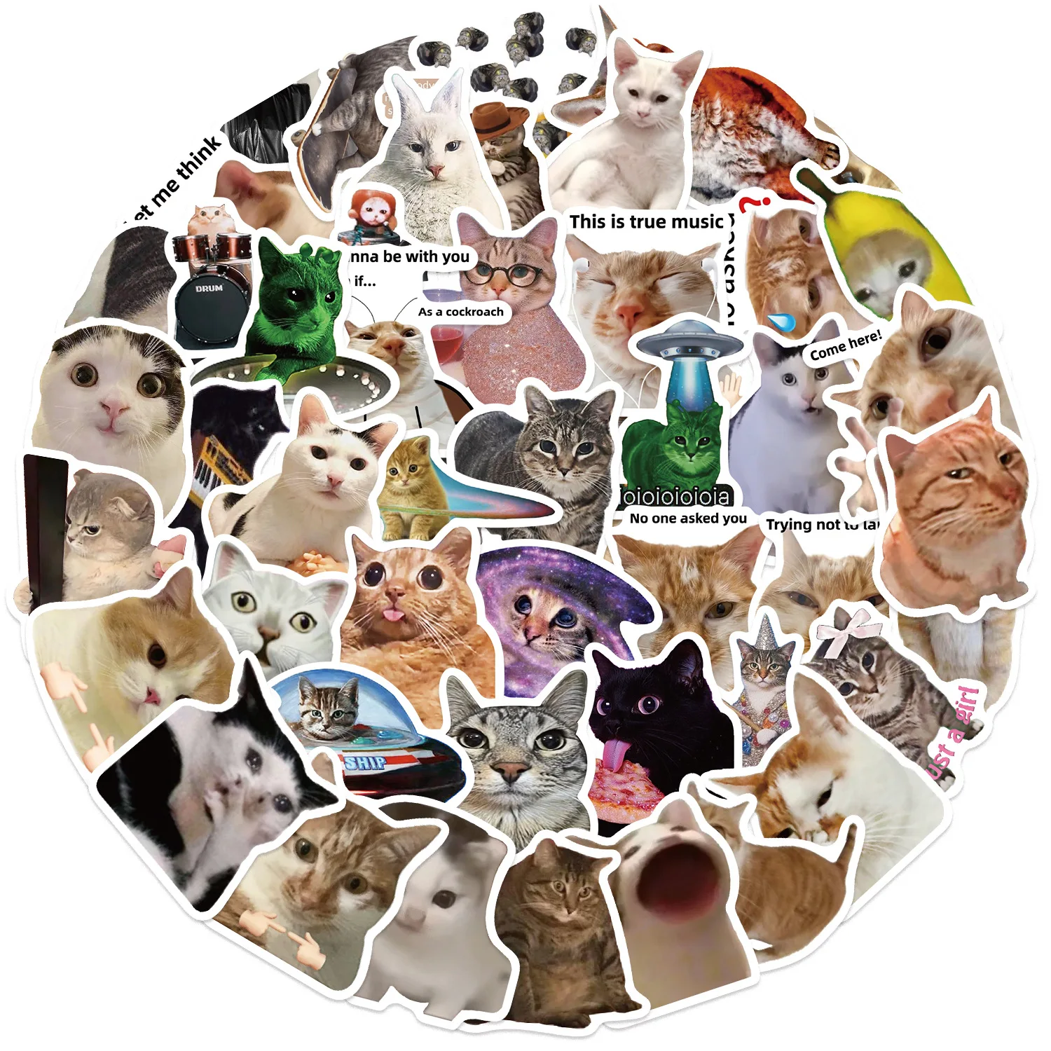 Gato Meme divertido – Pegatinas impermeables para móvil y guitarra - imagen 2