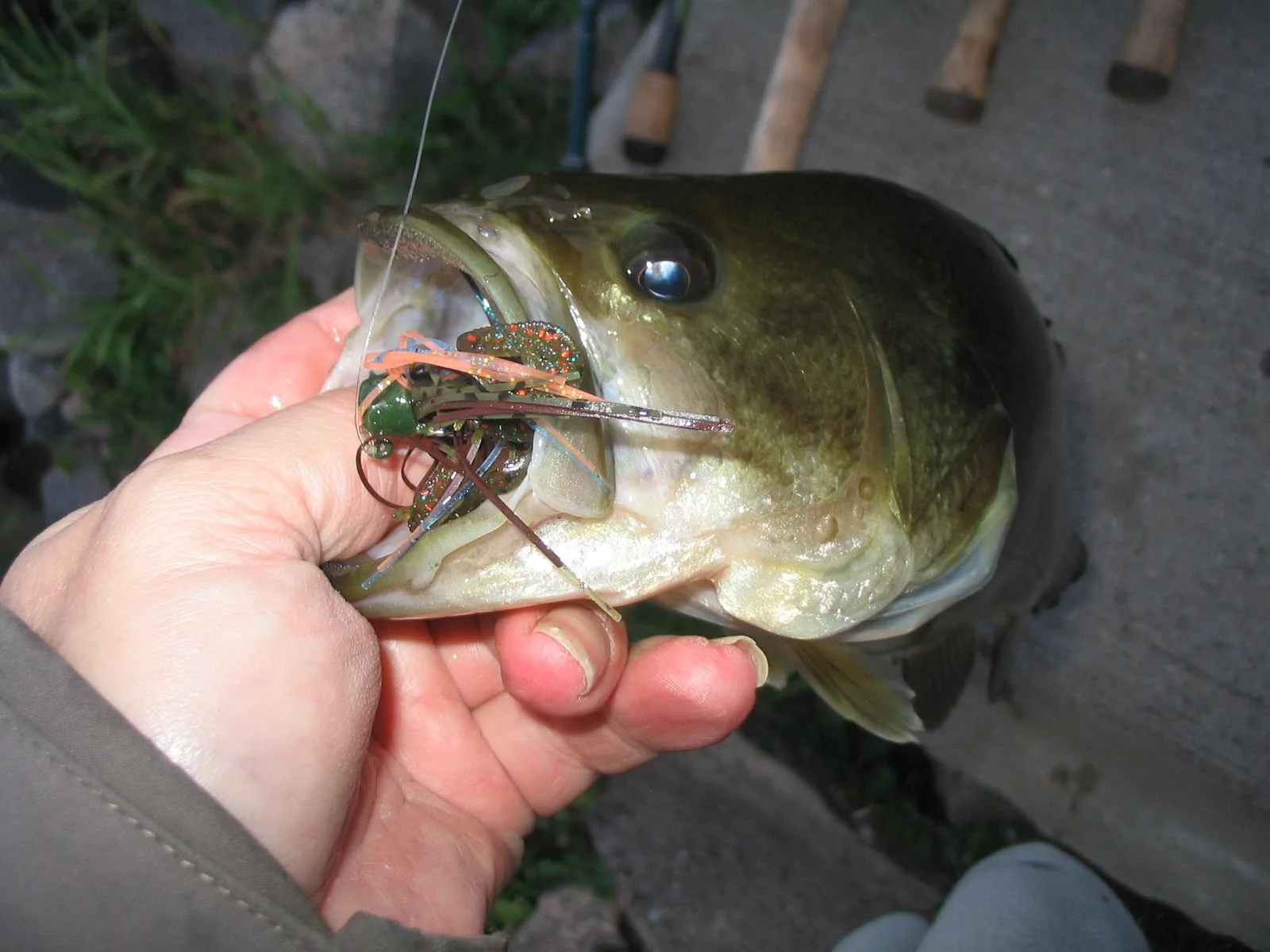 ZMAN FINESSE JIG Glue Group importado de Estados Unidos, pequeño chico barbudo, cebo de señuelo JIG de pesca fina - imagen 3