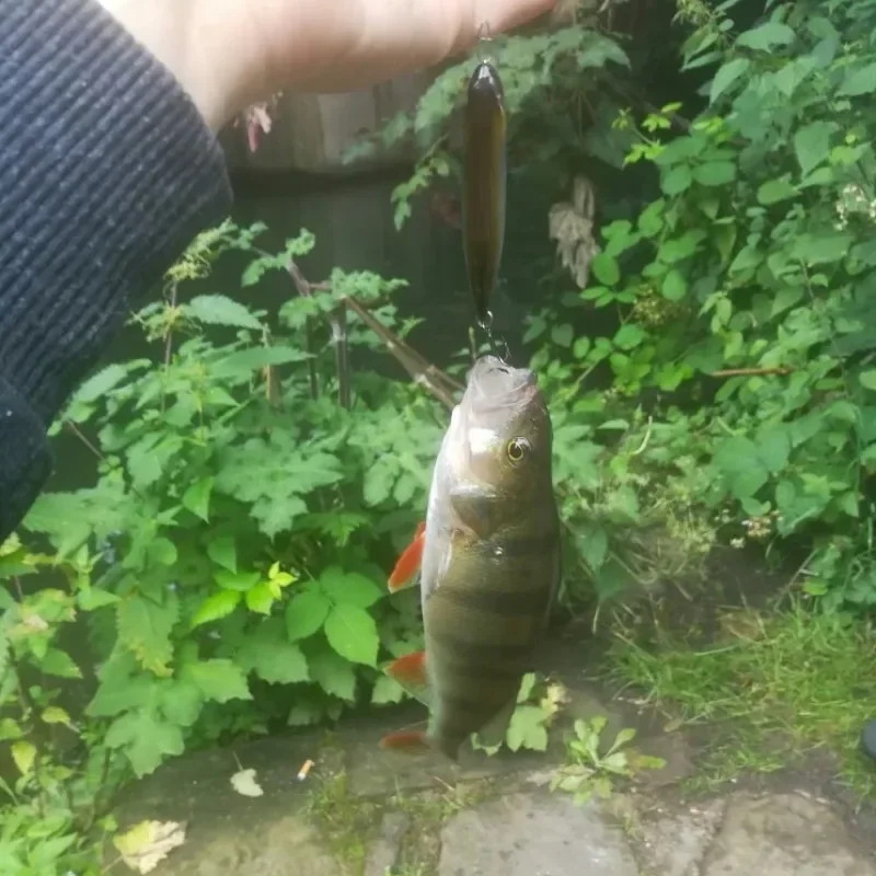 TSUYOKI nueva superficie lápiz señuelo de pesca 65mm 5,5g Topwater caminar el perro Stickbait Pike Bass Duo Real lápiz 65 cebos Topwater - imagen 2