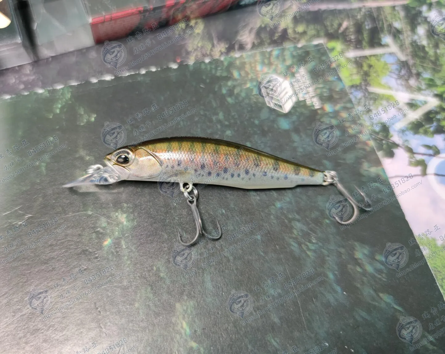 Cebo de bombeo suspendido, cebo japonés DUO REALIS ROZANTE 77SP, Mino chuatfish sub, 8,4g - imagen 2