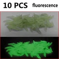 10 pcs fluorescence