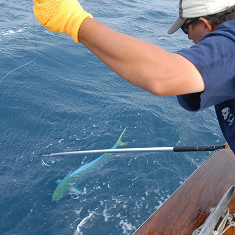Garfio telescópico de pesca con gancho de acero inoxidable hielo y mar - imagen 5