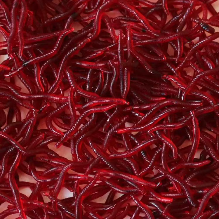 Detalle del señuelo mostrando su textura y color realista