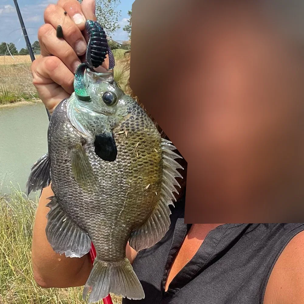 Una persona sosteniendo un pez con cola larga