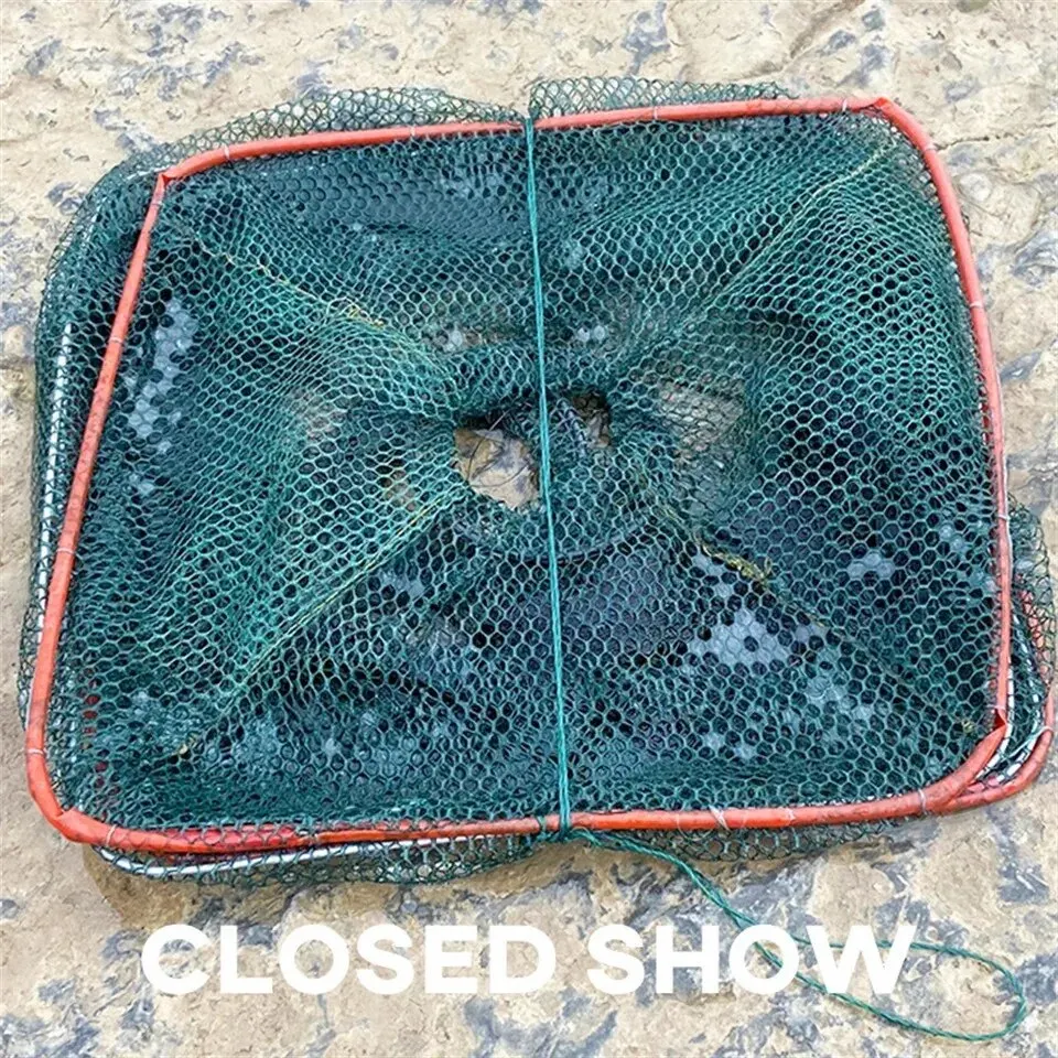 Jaula de pescado de red fundida plegable, trampa fina de malla de nailon para cangrejo, camarones y cangrejos, aparejos de pesca para entusiastas del aire libre, 1 ud. - imagen 3